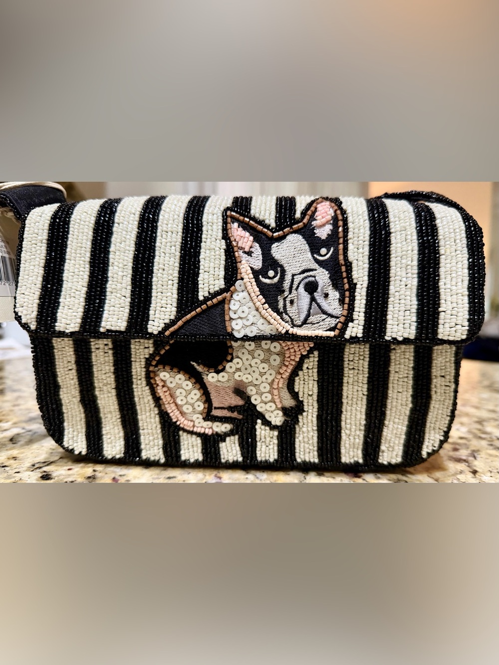NWT Sol & Mer Viral Hand Beaded French Bulldog Striped Shoulder Bag